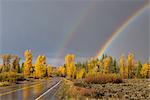 USA, Wyoming, Rockies, Rocky Mountains, Grand Teton, National Park, rainbow during thunderstorm