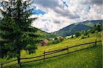 landscape in the Carpathian Mountains with a fence and fir tree in the foreground and houses on the slopes