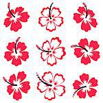 Beautiful black and red vector hibiscus flowers isolated