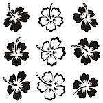 Black vector hibiscus silhouette icons on white background