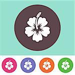 Vector hibiscus flower icon on round colorful buttons