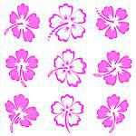 Pink vector hibiscus silhouette icons on white background