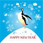 graphic funny penguin on a blue background with snowflakes
