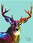 Colorful deer illustration.  Background with wild animal. Low poly deer with horns.