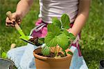 Little girl gardening, potting plant with trowel