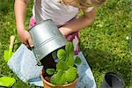 Little girl gardening, potting plants with care