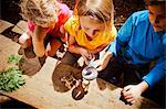 Children learning in a forest camp, Munich, Bavaria, Germany