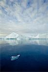 Icebergs and ice floes, Arctic Ocean, Greenland