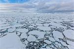 Ice floes choke the waters of the Lemaire Channel, Antarctica, Polar Regions