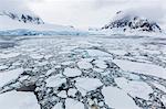 Ice floes choke the waters of the Lemaire Channel, Antarctica, Polar Regions