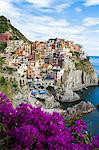 Manarola, Cinque Terre, UNESCO World Heritage Site, Liguria, Italy, Europe