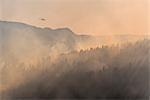 Firefighting helicopter fighting the Dog Rock wildfire above the smoke filled forests of Yosemite National Park, UNESCO World Heritage Site, California, United States of America, North America