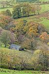 Stone barn surrounded with autumnal trees, Newlands Valley, Lake District National Park, Cumbria, England, United Kingdom, Europe