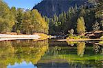 Colourful autumn trees flank the River Merced in Yosemite Valley, UNESCO World Heritage Site, California, United States of America, North America