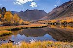 Glorious fall colours surround North Lake in the Eastern Sierras, near Bishop, California, United States of America, North America