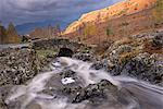 Rocky stream tumbling under Ashness Bridge in autumn, Lake District National Park, Cumbria, England, United Kingdom, Europe