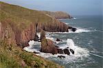 View to Old Castle Head, near Manorbier, Pembrokeshire Coast National Park, Pembrokeshire, Wales, United Kingdom, Europe