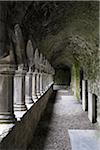 Sligo Abbey (Mainistir Shligigh), Sligo, Republic of Ireland