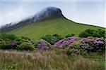 Benbulbin with mist, Dartry Mountains, County Sligo, Republic of Ireland