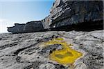 Coastal cliffs with tidal pool on rocky shoreline, Aran Islands, Republic of Ireland