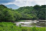 Scenic view of Killarney National Park, County Kerry, Republic of Ireland