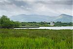 Scenic view of Ross Castle, Killarney National Park, County Kerry, Republic of  Ireland