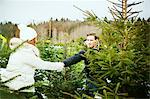 Young couple searching for the perfect Christmas tree