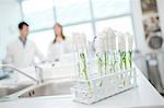 Laboratory, Plants in test tubes