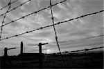 Barb-wire fence is situated against the gray  sombre sky. This is Majdanek or KL Lublin - a Nazi German concentration and extermination camp established on the outskirts of the city of Lublin during the German occupation of Poland in World War II.