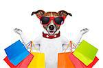 jack russell dog  with shopping bags ready for discount and sale at the  mall, isolated on white background