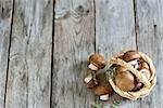 Fresh raw portabello mushrooms in wicker basket on dark wooden background
