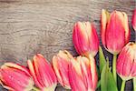 Colorful tulips on wooden table. Top view with copy space