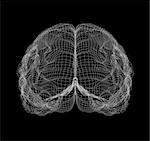 Wire-frame of human with occipital region of brain. Isolated on black background