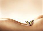 Butterfly resting on a naked woman back