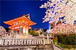 Kyoto, Japan at the Kiyomizu-dera Shrine entrance gate during the fall season at night.