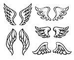 Set of wings tattoo. Eps8 vector illustration. Isolated on white background