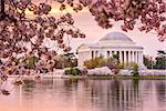 Washington, DC at the Tidal Basin and Jefferson Memorial during spring.