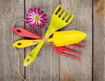Garden tools with flower on wooden table background