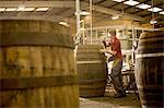Young man making whisky cask in cooperage
