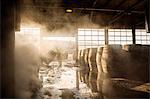 Man working in cooperage