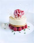 Close up of dessert plate with raspberries, ice cream and sorbet