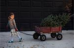 Portrait of a girl pulling cart with christmas tree