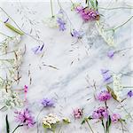 Wildflowers on marble background