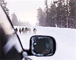 Reindeer on winter road seen from car