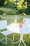 Outdoor chairs in garden