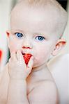 Portrait of baby boy eating strawberry