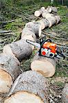 Chainsaw with cut log