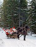 Santa in sled