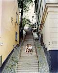 Couple in Gamla Stan, Stockholm.