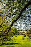 Countryside, Upper Slaughter, Gloucestershire, The Cotswolds, England, United Kingdom